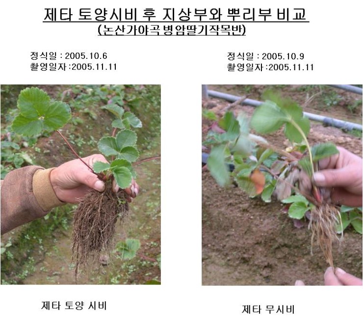 postfiles09.naver.net.jpg
