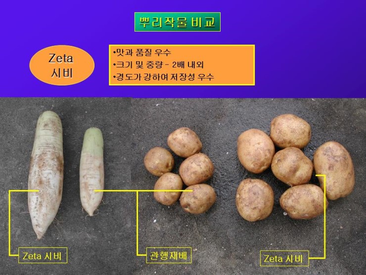 postfiles10.naver.net.jpg