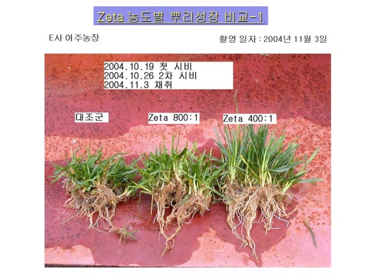 postfiles133.naver.net.jpg