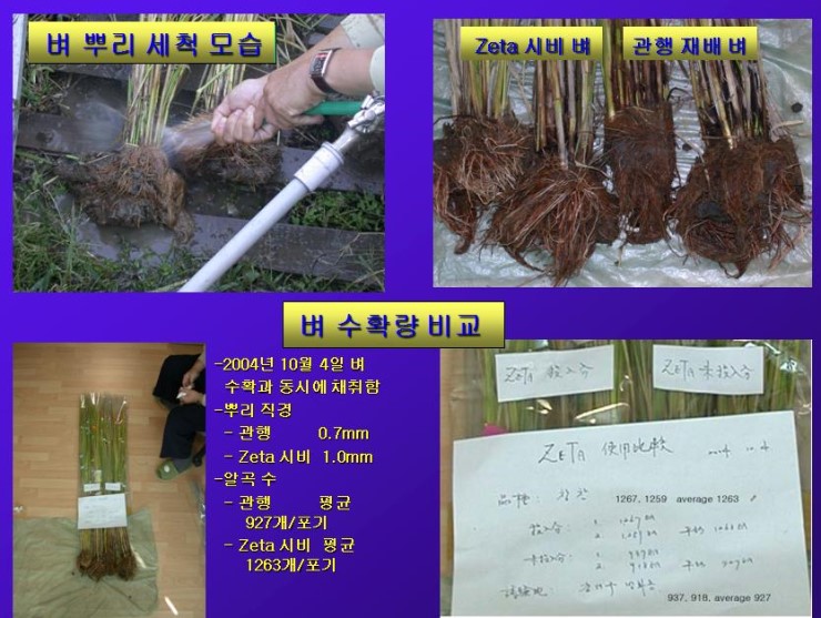postfiles15.naver.net.jpg
