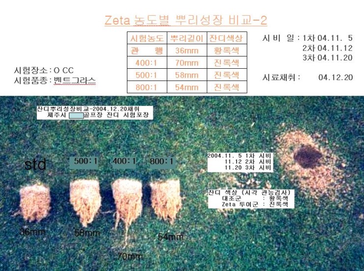 postfiles44.naver.net.jpg