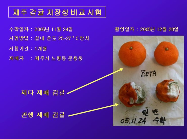 postfiles9.naver.net.jpg