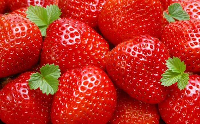 딸기에 대한 이미지 검색결과
